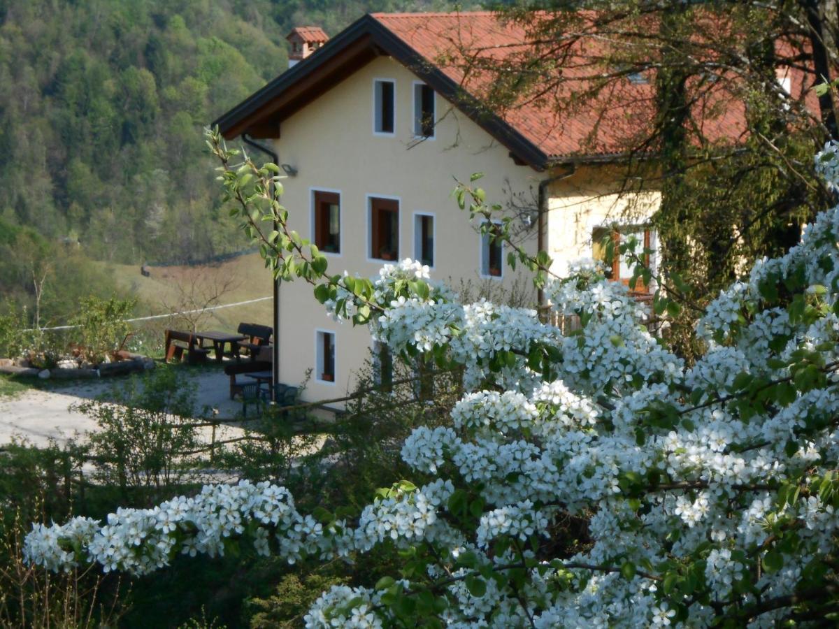 Colderu Agriturismo La Casa Nei Boschi מראה חיצוני תמונה