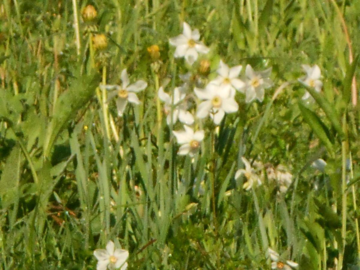 Colderu Agriturismo La Casa Nei Boschi מראה חיצוני תמונה