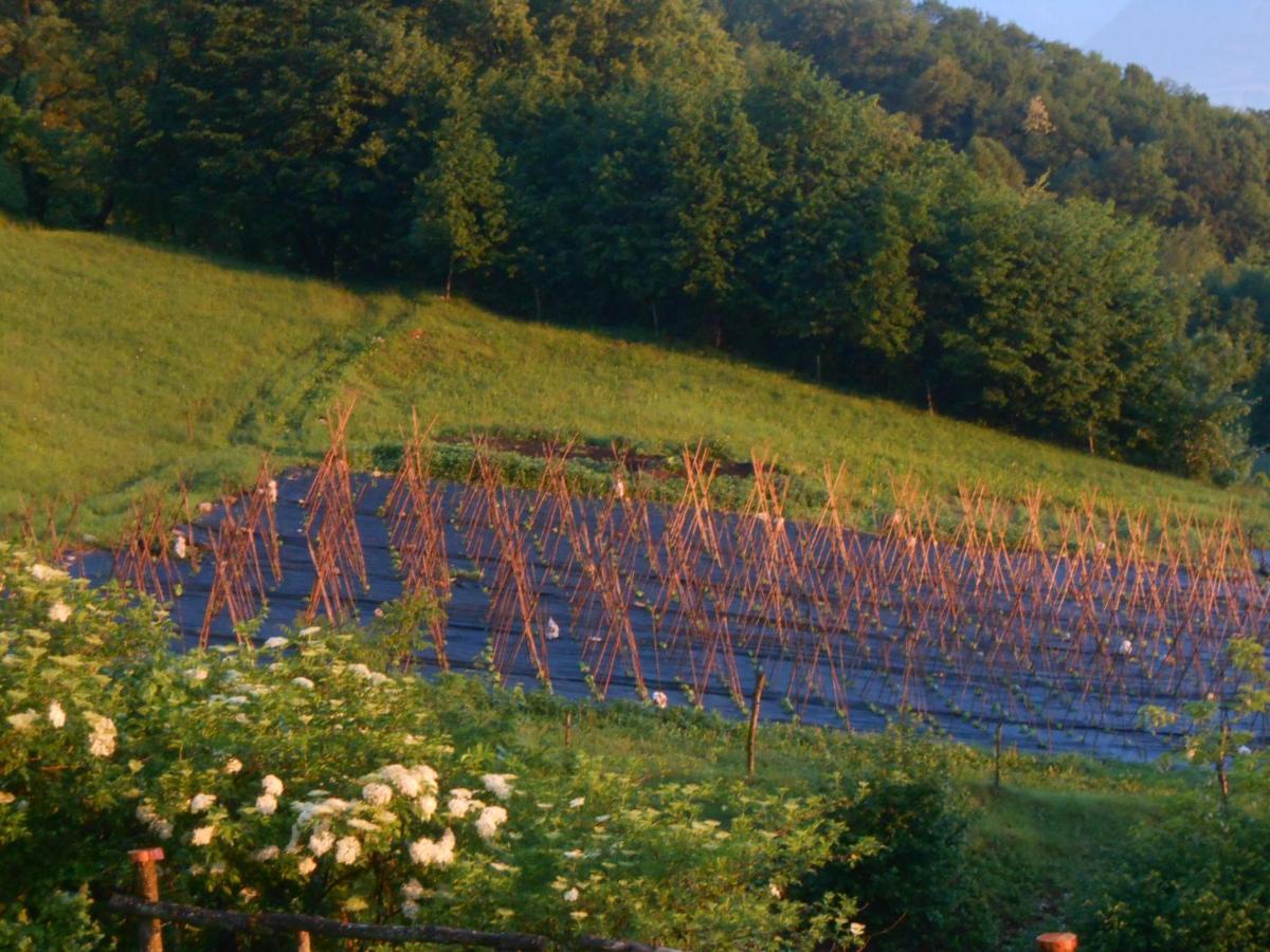 Colderu Agriturismo La Casa Nei Boschi מראה חיצוני תמונה